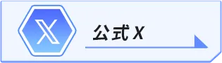 公式X